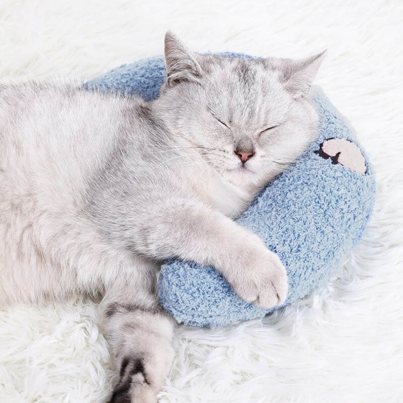 Cuscino calmante per gatti